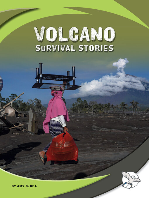 Title details for Volcano Survival Stories by Amy C. Rea - Available